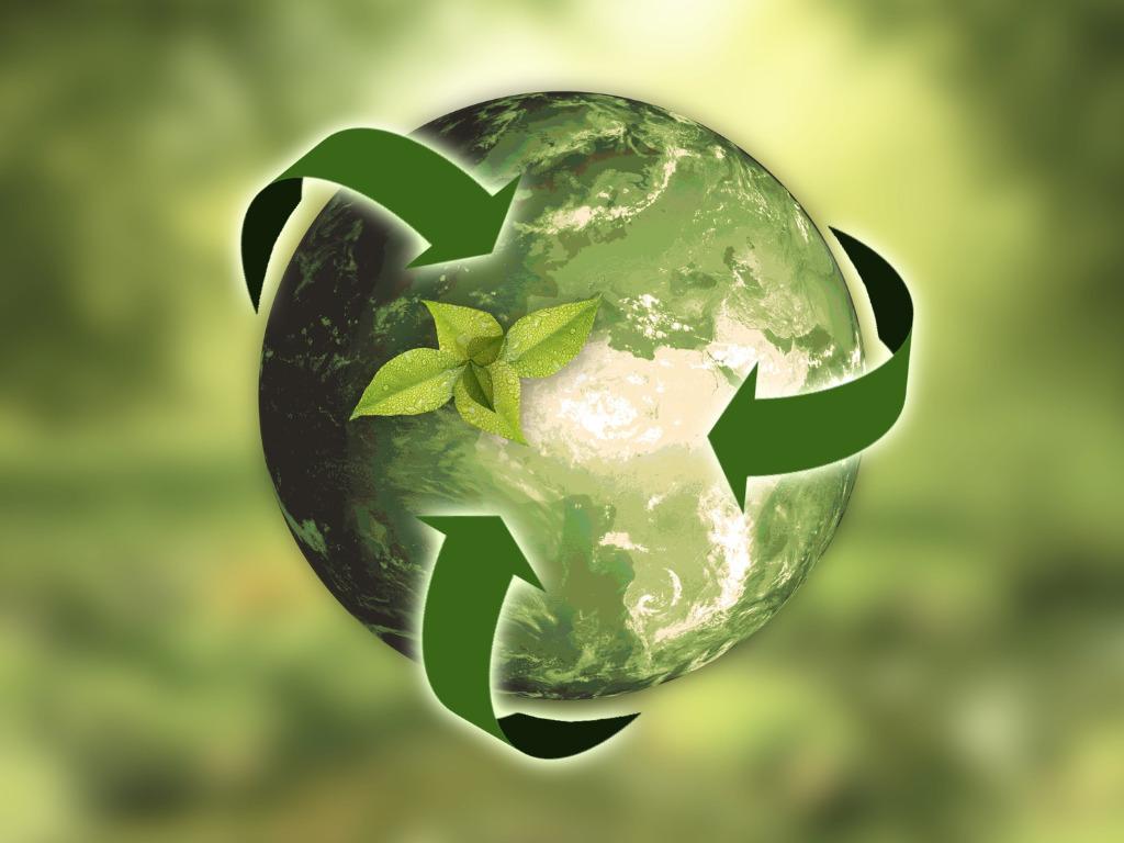 Harnessing Sustainability for Competitive Advantage